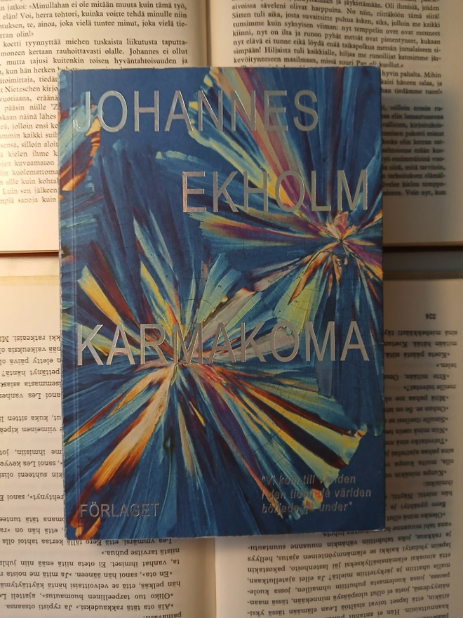 Johannes Ekholm - Karmakoma (häftad bok)