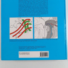 Images in weather forecasting : Practical guide for inter... - pikkukuva 2