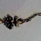 SARPANEVA Pronssinen kaulakoru "NECKLACE" - pikkukuva 1