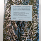 Keski-Suomen historia 2 - Keski-Suomi maakunta-ajatuksen ... - pikkukuva 2