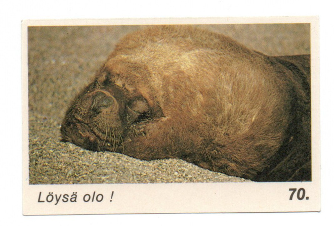 Purkkakuva KUVAHUULI-TARRIS n:o 70 1984 Löysä olo!