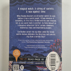 Trenton Lee Stewart : The secret keepers - pikkukuva 2
