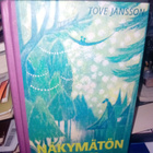 Tove Jansson : Näkymätön lapsi ( SIS POSTIKULU ) - pikkukuva 1