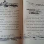 Karmo: Sumumailta - Petsamo 1932 - pikkukuva 5