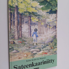Bolette Bonfils : Sateenkaariniitty - pikkukuva 1