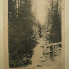 Lapväärtti, Sågkvarnsängsbäck, silta yli puron, p. 1903 - pikkukuva 1