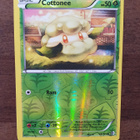 Pokemon Cottonee 14/149 - pikkukuva 1