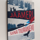 Siina Tiuraniemi : Jäämeri : romaani perheasioista - pikkukuva 1