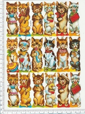 ~ EF 7138, hauska kissa-arkki ~