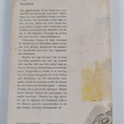 Erich Maria Remarque : Himlen har inga favoriter - Roman - pikkukuva 2