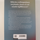 Mari Koppinen : Meiju - pikkukuva 2