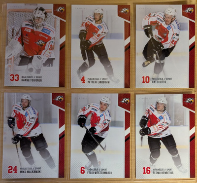 2014-15 Cardset Series 1 Sport Team Set 12 korttia (121-132)