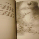 Lauri Nerg: Lumiukon paluu (1.p.2006) Sis.postikulut - pikkukuva 2