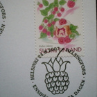 FDC Vadelma 1. lk 24.8.2007 - LaPe 1848 - pikkukuva 2
