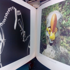 Harri Kallio : The Dodo and Mauritius Island  ( SIS POSTIKUL - pikkukuva 5