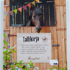 Tiina Vainikainen : Tallikirja - pikkukuva 2