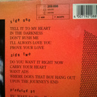 Taylor Dayne - Tell It To My Heart LP - pikkukuva 3