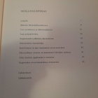 Mikkelin lääninhallitusrakennus, Rahikainen Nuotio-Myllys - pikkukuva 3