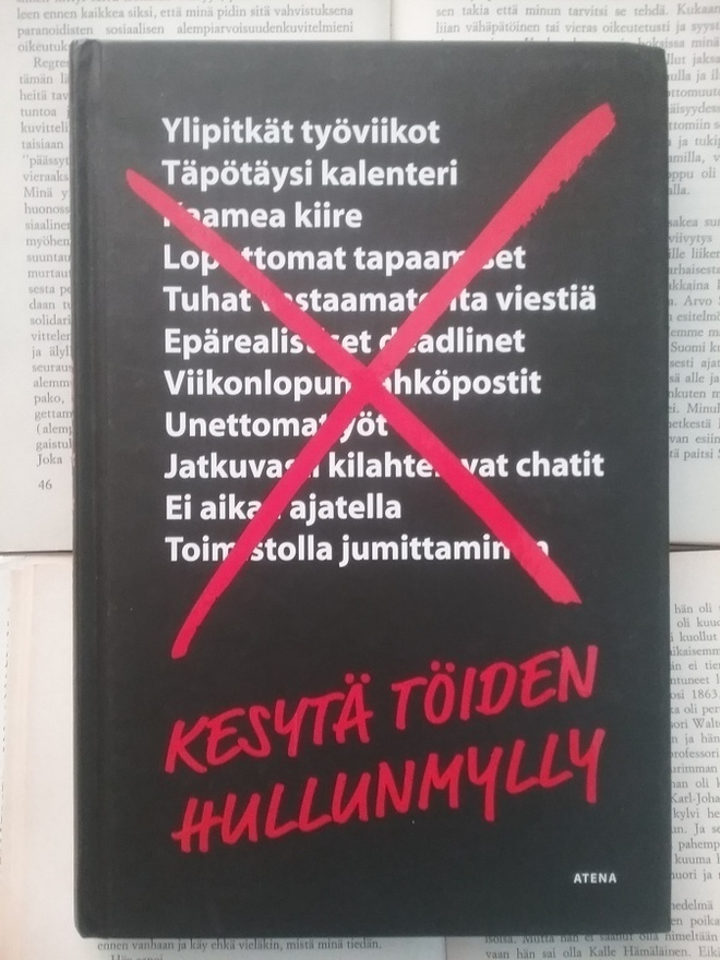 Jason Fried (ym) - Kesytä töiden hullunmylly (sid.)
