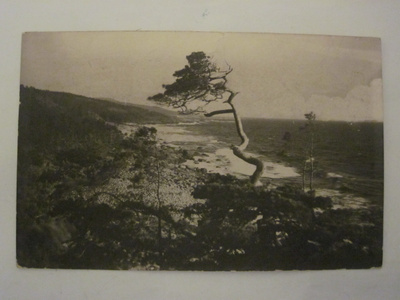 VANHA Postikortti Suursaari 1924