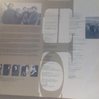 HOTHOUSE FLOWERS  ::  HOME  ::  VINYYLI  LP    1990 - pikkukuva 5
