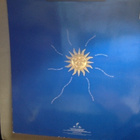 TEARS FOR FEARS :: THE SEEDS OF LOVE :: VINYYLI LP 1989 ! - pikkukuva 2
