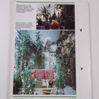 Kukkiva kotini 11/1986 - pikkukuva 2
