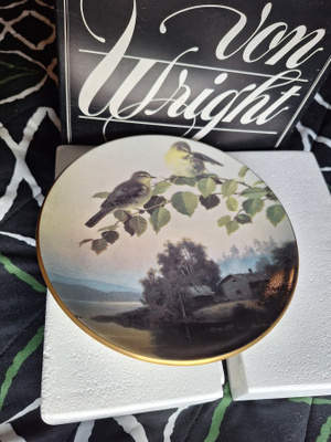 PAJULINTUJA von Wright