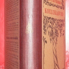 K. E. Kivirikko : Koulukasvio 1931 - pikkukuva 2