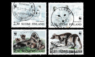 1195-8 o WWF Naaleja (1993)