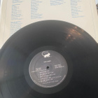 Thee Image (1975) ja Mike Pinera (1979) LP - pikkukuva 4