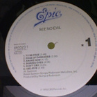 SEE NO EVIL  ::  SEE NO EVIL  ::   VINYYLI.  LP     1989 - pikkukuva 3