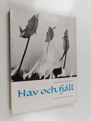 Svante Lundgren : Hav och fjäll
