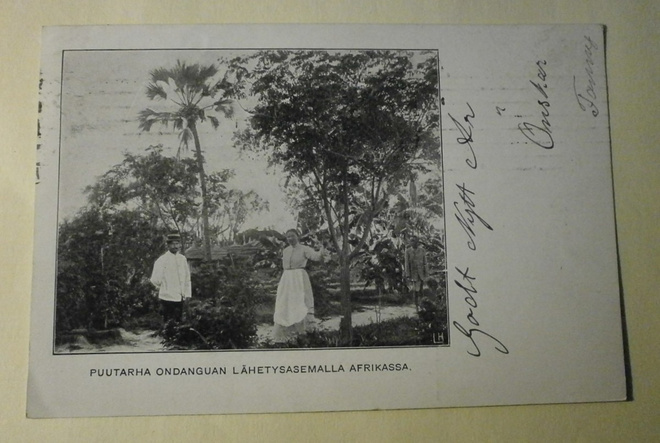 Puutarha Ondangan lähetysasemalla Afrikassa, mv pk, p. 1909