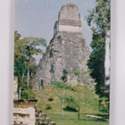 William R. Coe : Tikal : A handbook of the ancient maya r... - pikkukuva 2