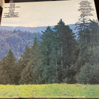 Sons of Champlin: Welcome to the Dance 1973 LP - pikkukuva 2