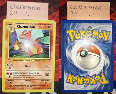 Pokémon Charmeleon