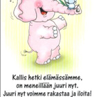 kortti ** Ansio Marleena Norsu tai panda - erilaisia - pikkukuva 3