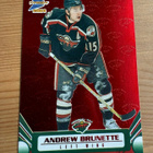 2003-04 Pacific Prism Red #51 Andrew Brunette */260 - pikkukuva 1