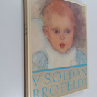 Antti J. (toim.) Aho : Venny Soldan-Brofeldt ja hänen maa... - pikkukuva 1