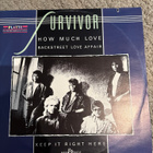 Survivor vinyyli ( maxi) - pikkukuva 2