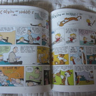 Bill Watterson / The Calvin and Hobbes Lazy Sunday Book - pikkukuva 5