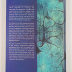 Bettina Schmitz ym. : Seizures, Affective Disorders and A... - pikkukuva 2