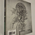 Twombly; Menocal: Louis Sullivan: The Poetry of Architecture - pikkukuva 3