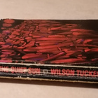 1970 The Year Of The Quiet Sun  by Wilson Tucker - pikkukuva 2