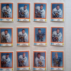 1991 Semic Stickers Tsekki versiot Blank Back alk. 8€ kpl - pikkukuva 1