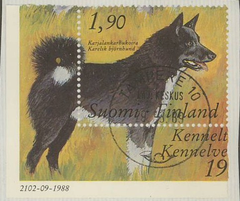 1988 Karjalan karhukoira loisto