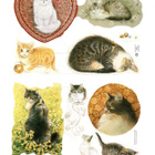 KIILTOKUVA °°IHANAT KISSAT°° /Ivory Cats - pikkukuva 1