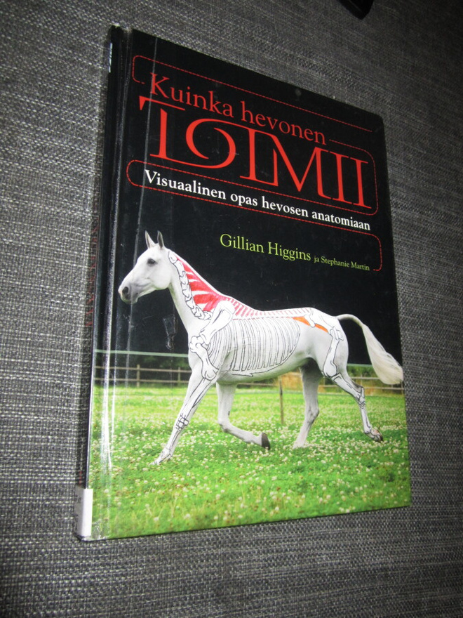 Gillian Higgins : Kuinka hevonen toimii
