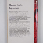 Maksim Gorki : Lapsuuteni - pikkukuva 2